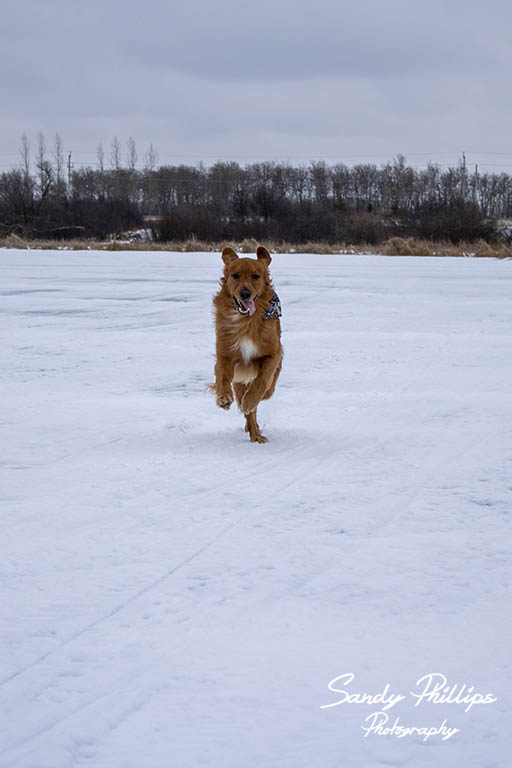 Bauer on lake email